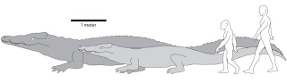Illustration for article titled This man-eating crocodile was big enough to star in Lake Placid
